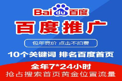 SEM公司案例研究：数据驱动营销策略
